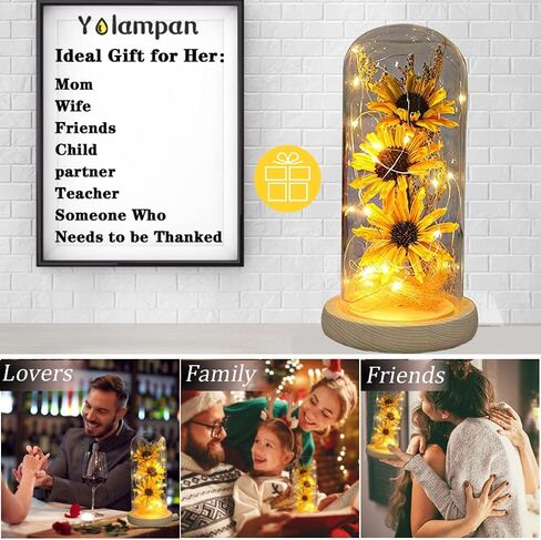 عباد الشمس الاصطناعي في قبة زجاجية مسحورة مصباح عباد الشمس الديكورات عباد الشمس لها في عيد الميلاد المجيد عيد الشكر عيد الحب عيد الأم الذكرى السنوية عيد الميلاد - أصفر in Kuwait