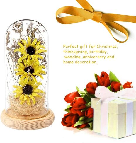 عباد الشمس الاصطناعي في قبة زجاجية مسحورة مصباح عباد الشمس الديكورات عباد الشمس لها في عيد الميلاد المجيد عيد الشكر عيد الحب عيد الأم الذكرى السنوية عيد الميلاد - أصفر in Kuwait