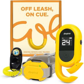 Dogtra IQ Plus+ 1-Dog Remote Training Collar - 400 Yard Range, Waterproof, Rechargeable, Static, Vibration - Includes PetsTEK Dog Training Clicker