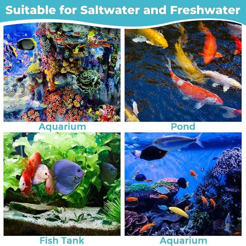 مجموعة اختبار الأمونيا 10 في 1 من Joygain لحوض السمك، 150 قطعة من شرائط اختبار حوض السمك، مجموعة اختبار مياه خزان الأسماك دقيقة وسريعة مناسبة للمياه المالحة والمياه العذبة، واختبار درجة حموضة المياه، والنتريت، والنترات والمزيد in Kuwait