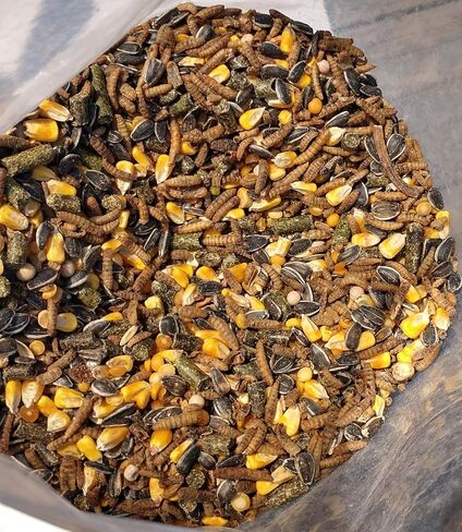 Chicken Feed Treat 10 lbs | USA Produced Grubs (Black Fly Larvae) & Organic Whole Grains in Kuwait