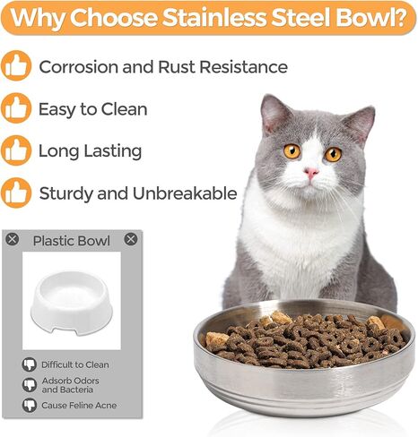 MSBC Stainless Steel Cat and Dog Feeder, Set of 2, 5 1/3" x 1 1/2" in Kuwait