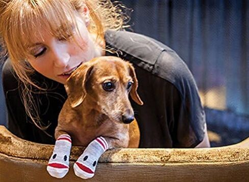 RC Pet Products Pawks Dog Socks, Medium, Preppy Girl in Saudi Arabia