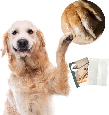 واقيات مخالب الكلاب المضادة للانزلاق لكبار السن in Kuwait