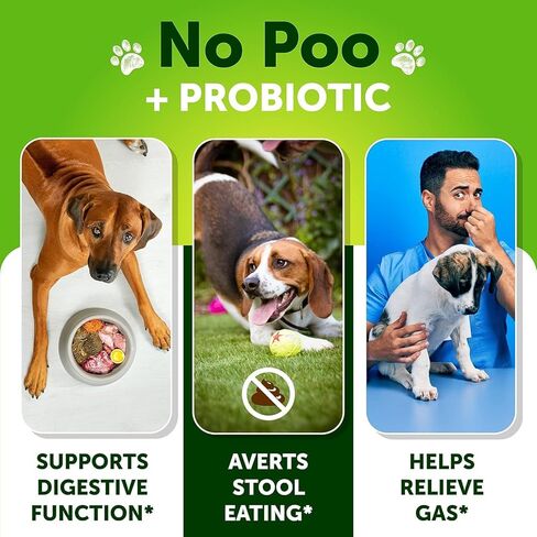 No Poo Treats - Coprophagia Deterrent for Dogs - Prevent Dog from Eating Poop - Stop Eating Poop for Dogs, Stool Eating Deterrent - Probiotics & Digestive Enzymes - Forbid for Dogs Chews - Made in USA in Kuwait