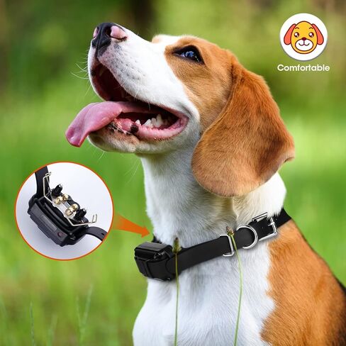 طوق تدريب الكلاب، وسادة مريحة تحسن التلامس، راحة فائقة مجنحة للشعر الطويل in Kuwait