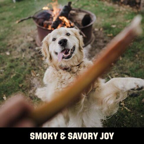 Barkworthies USA Hickory Smoked Bully Sticks 6" Thick 3-Pack | Irresistible Flavor, Amazing Odor | Dental Health | Long Lasting Dog Chews in Saudi Arabia