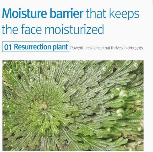 بيونكانغ يول غسول للاطفال والرضع مع نخالة الارز والسيراميد والسيكا وحمض الهيالورونيك فائق الترطيب وجل استحمام مهدئ معتمد من مجموعة العمل البيئي خالي من العطور لجميع انواع البشرة | 19.9 اونصة سائلة in Kuwait