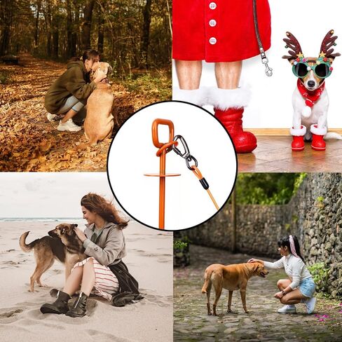 Rainbowhorse Dog tie Out Stake, 15inRust Resistant Stake and 32ft Heavy Duty Cable with Dog Anchor Drill Adapter Dog Stake for Beach, Dog Stake and Cable for 125 Lbs Small Large Dogs Heavy Duty in Kuwait