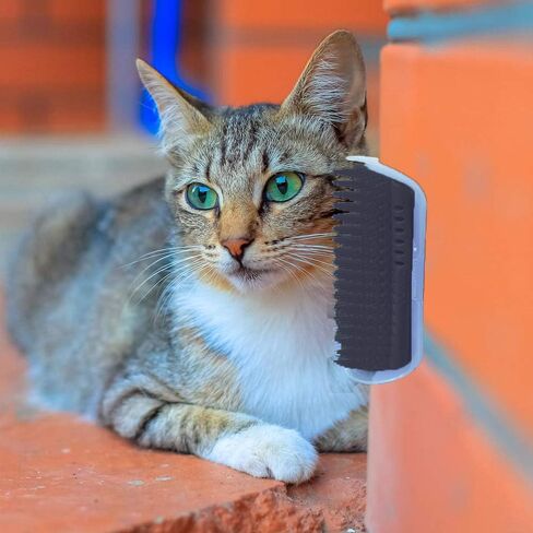 Hub's Gadget 2 Pack Cat Self Groomer، مشط تدليك زاوية الحائط، فرشاة العناية بالقطط، أسود in Saudi Arabia