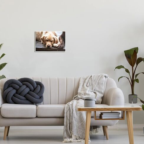 Stupell Industries Sweet Sleeping Dogs Resting Paws Animal Photography Wood Wall Art, Design By James Dobson in Saudi Arabia