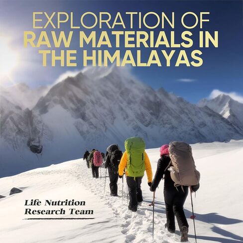 شيلاجيت راتنج الهيمالايا العضوي النقي، 500 مجم مكمل من راتنج شيلاجيت الطبيعي مع 85+ مركب معادن نادرة للطاقة ودعم المناعة والصحة العامة in Kuwait