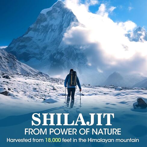 Shilajit Gummies, Pure Organic Shilajit Supplement with Ashwagandha for Men & Women from Himalayan, Chewables Shilajit with 85+ Trace Minerals & Fulvic Acid for Energy & Immune Support -60 Count in Kuwait