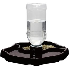 IBWell 2-in-1 Reptile Water Bowl Food Dish with Bottle Automatic Reptile Feeder for Turtle, Bearded Dragon, Lizard Gecko Water Bowl Food Dish