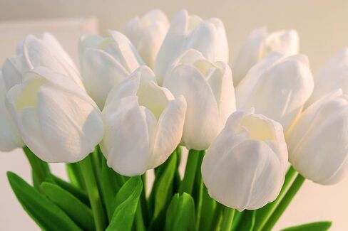 SITUMEIZI 15pcs Fake Tulips Artificial Assorted Colors Flowers Real Touch 14" Silk Flower for Home Kitchen Decor Wedding Bouquet Decorations Office Floral Arrangements(5 Colors) in Kuwait