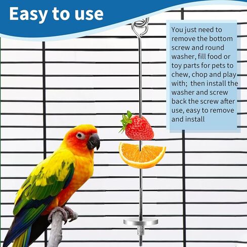 فانسونتا 3 قطع من حامل طعام قفص الطيور من الستانلس ستيل، سيخ علف الطيور والببغاء المعلق، ملحقات قفص الطيور للببغاوات والببغاء الصغيرة والكونيور والبادجي والعصافير in Kuwait