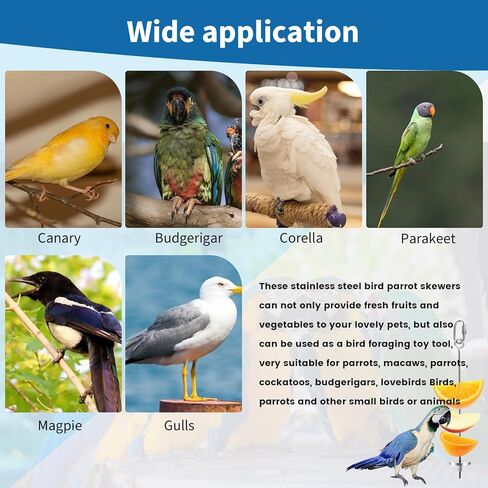 فانسونتا 3 قطع من حامل طعام قفص الطيور من الستانلس ستيل، سيخ علف الطيور والببغاء المعلق، ملحقات قفص الطيور للببغاوات والببغاء الصغيرة والكونيور والبادجي والعصافير in Kuwait