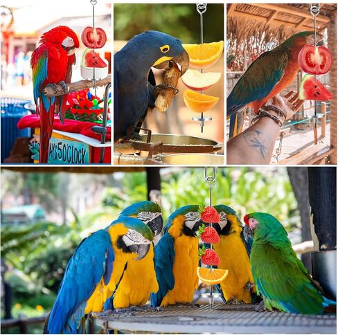 فانسونتا 3 قطع من حامل طعام قفص الطيور من الستانلس ستيل، سيخ علف الطيور والببغاء المعلق، ملحقات قفص الطيور للببغاوات والببغاء الصغيرة والكونيور والبادجي والعصافير in Kuwait