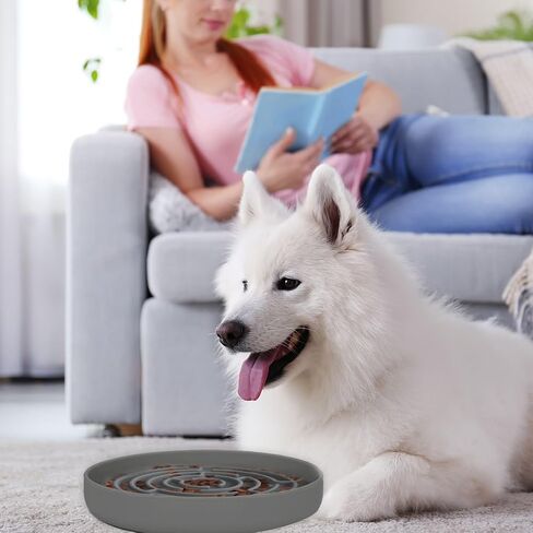 STUDESK أطباق سيليكون للتغذية البطيئة للكلاب، وعاء تغذية بطيء للكلاب مع أكواب شفط، أوعية طعام ألغاز بطيئة للحيوانات الأليفة للسلالات الصغيرة والمتوسطة والكبيرة in Kuwait