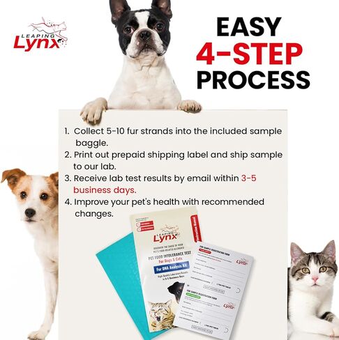 Vet-Recommended Pet Food Sensitivity & Intolerance Test Kit for Dogs & Cats, Lab Fee Included, Results in 3 Days - Fur Analysis for ~200 Foods & Allergens, Allergy Test Kit for All Breeds & Ages in Kuwait