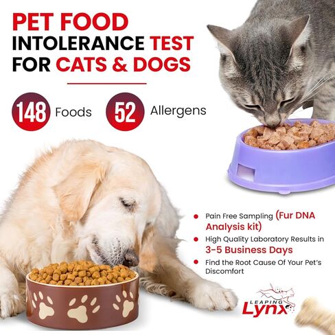 Vet-Recommended Pet Food Sensitivity & Intolerance Test Kit for Dogs & Cats, Lab Fee Included, Results in 3 Days - Fur Analysis for ~200 Foods & Allergens, Allergy Test Kit for All Breeds & Ages in Kuwait