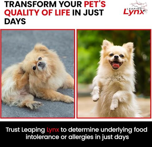 Vet-Recommended Pet Food Sensitivity & Intolerance Test Kit for Dogs & Cats, Lab Fee Included, Results in 3 Days - Fur Analysis for ~200 Foods & Allergens, Allergy Test Kit for All Breeds & Ages in Kuwait