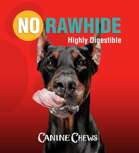 Canine Chews Bully Sticks 12" Thick Beef Chew Treat for Large Dogs Aggressive Chewers Low Odor All Natural 1.1 Pounds 12 Pack in Kuwait