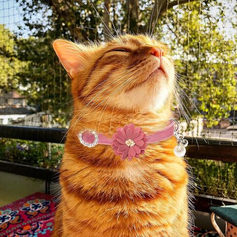 طوق القطط من FLYSTAR قابل للفصل مع أجراس - أطواق قطط على شكل زهرة لطيفة من حجر الراين - طوق ناعم قابل للتعديل من الألماس والزهور للحيوانات الأليفة للقطط والبنات الصغيرة والجراء والأرنب (الوردي والأخضر والبرتقالي) in Kuwait