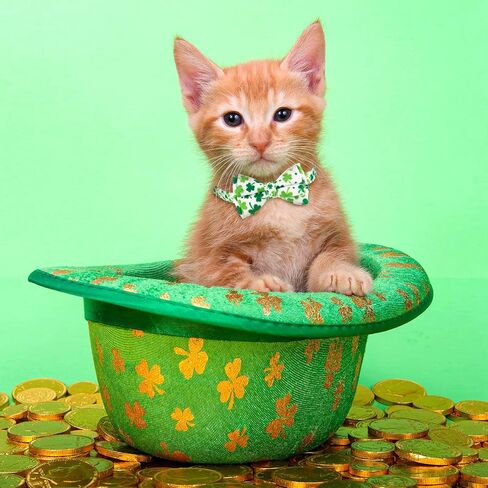 Whaline 4 Pack St. Patrick's Day & Easter Cat Collar with Bowknot and Bell Shamrock Bunny Rabbit Egg Pattern Safety Breakaway Adjustable Pet Collars for Cat Kitten Puppy in Saudi Arabia