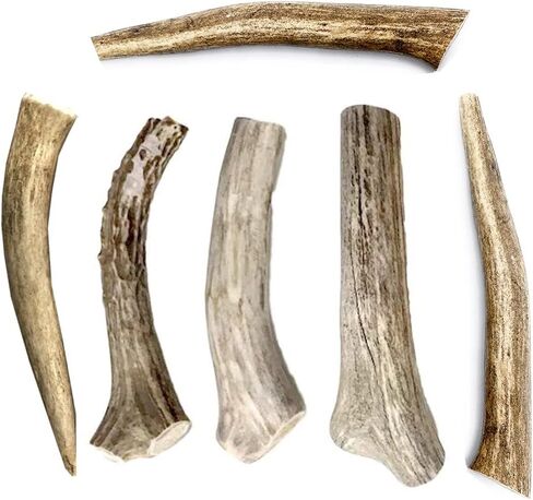 hotspot pets Premium Deer Antler for Dogs - 5-8 Inch Long Lasting Antler Dog Chews Naturally Shed Deer Antlers Bone for Small & Medium Breed Aggressive Chewers - Made in USA - (6 Count) in Saudi Arabia