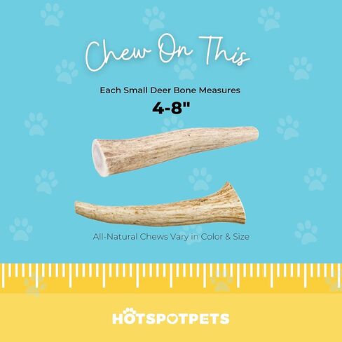 hotspot pets Premium Deer Antler for Dogs - 5-8 Inch Long Lasting Antler Dog Chews Naturally Shed Deer Antlers Bone for Small & Medium Breed Aggressive Chewers - Made in USA - (6 Count) in Saudi Arabia