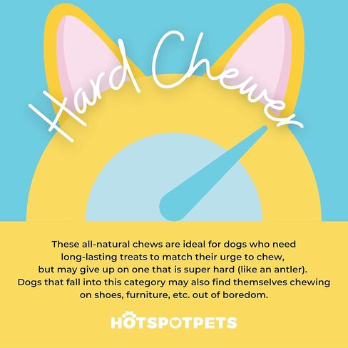 hotspot pets Premium Deer Antler for Dogs - 5-8 Inch Long Lasting Antler Dog Chews Naturally Shed Deer Antlers Bone for Small & Medium Breed Aggressive Chewers - Made in USA - (6 Count) in Saudi Arabia