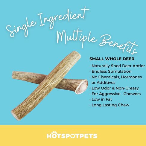 hotspot pets Premium Deer Antler for Dogs - 5-8 Inch Long Lasting Antler Dog Chews Naturally Shed Deer Antlers Bone for Small & Medium Breed Aggressive Chewers - Made in USA - (6 Count) in Saudi Arabia