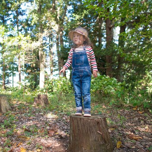 HESTYA 4 عبوات من شبكة رأس البعوض وغطاء للرقبة وشبكة شبكية للأنشطة الخارجية (حجم عادي، أسود) in Kuwait