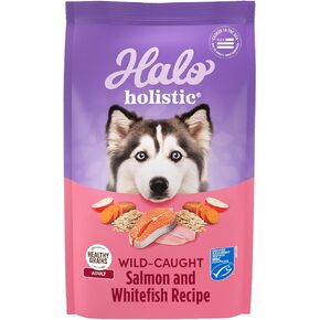 Halo Adult Dry Dog Food, Wild Salmon & Whitefish 21-Pound Bag