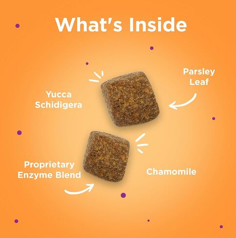 First Impressions Poop Snacker Soft Chews - أفضل رادع لتناول الطعام في البراز للكلاب، رادع كوبروفاجيا للكلاب، البروبيوتيك ومعطر التنفس - رادع للكلاب التي تأكل البراز - 60 قيراط in Kuwait