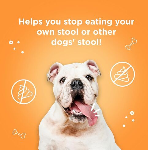 First Impressions Poop Snacker Soft Chews - أفضل رادع لتناول الطعام في البراز للكلاب، رادع كوبروفاجيا للكلاب، البروبيوتيك ومعطر التنفس - رادع للكلاب التي تأكل البراز - 60 قيراط in Kuwait