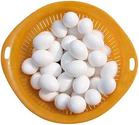 Huwaimi 13g Solid Plastic Eggs Dummy Eggs for Racing Pigeons 20pcs (White 20pcs) in Saudi Arabia