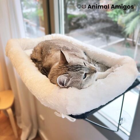 مجثم نافذة للقطط من Animal Amigos، أرجوحة نافذة للقطط - للقطط والقطط الكبيرة، لحمامات الشمس والقيلولة والإطلالة - دعم إطار معدني بنسبة 100% من الأسفل، مع سرير قطيفة للحيوانات الأليفة وأكواب شفط قوية in Saudi Arabia