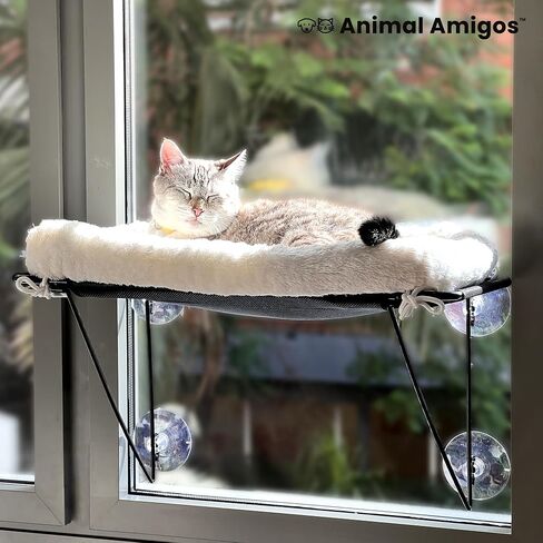 مجثم نافذة للقطط من Animal Amigos، أرجوحة نافذة للقطط - للقطط والقطط الكبيرة، لحمامات الشمس والقيلولة والإطلالة - دعم إطار معدني بنسبة 100% من الأسفل، مع سرير قطيفة للحيوانات الأليفة وأكواب شفط قوية in Saudi Arabia