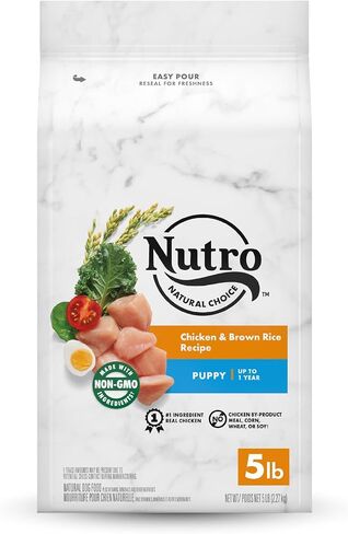 NUTRO NATURAL Choice طعام جاف للكلاب، وصفة دجاج وأرز بني، طعام للكلاب، 5 رطل. in Kuwait