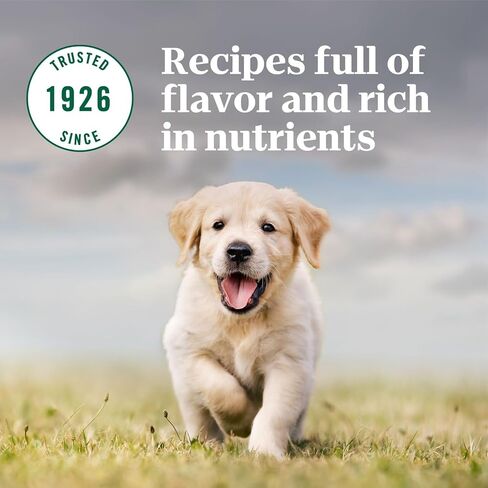 NUTRO NATURAL Choice طعام جاف للكلاب، وصفة دجاج وأرز بني، طعام للكلاب، 5 رطل. in Kuwait