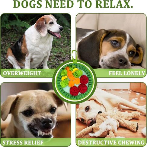 WishLotus حصيرة الشم للحيوانات الأليفة خالية من الانزلاق مع حبل معلق، حصيرة الشم للكلاب لاستهلاك الطاقة وتخفيف التوتر، حصيرة الشم للحيوانات الأليفة للأرانب والهامستر والكلاب لتحسين الهضم (الزهور الكثيفة) in Kuwait