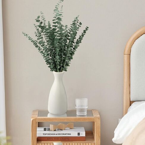 15pc Dried Preserved Eucalyptus Stems Bundle for Shower - 17" Real Fresh Eucalyptus, 100% Natural Eucalyptus Leaves Bulk for DIY Shower Spa Wedding Party Home Office Floral Arrangements Decor in Kuwait