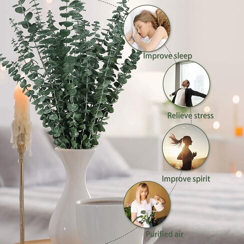 15pc Dried Preserved Eucalyptus Stems Bundle for Shower - 17" Real Fresh Eucalyptus, 100% Natural Eucalyptus Leaves Bulk for DIY Shower Spa Wedding Party Home Office Floral Arrangements Decor in Kuwait