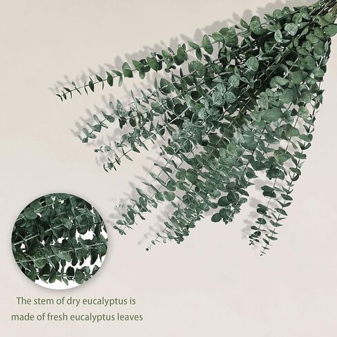 15pc Dried Preserved Eucalyptus Stems Bundle for Shower - 17" Real Fresh Eucalyptus, 100% Natural Eucalyptus Leaves Bulk for DIY Shower Spa Wedding Party Home Office Floral Arrangements Decor in Kuwait