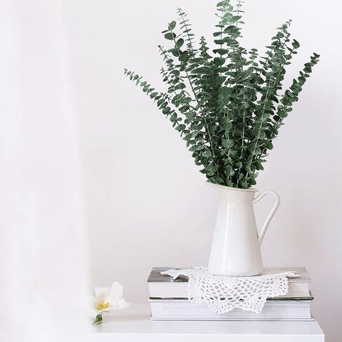 15pc Dried Preserved Eucalyptus Stems Bundle for Shower - 17" Real Fresh Eucalyptus, 100% Natural Eucalyptus Leaves Bulk for DIY Shower Spa Wedding Party Home Office Floral Arrangements Decor in Kuwait