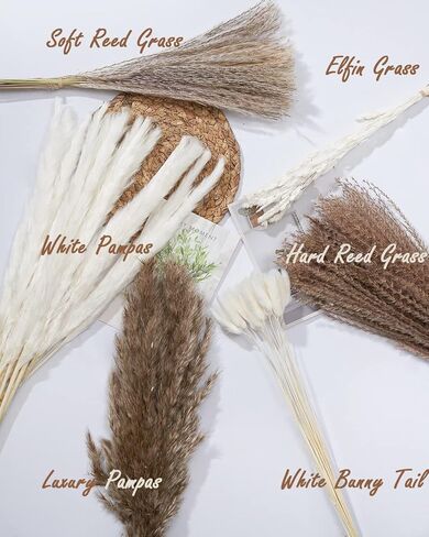 100 قطعة من عشب بامباس لديكور غرفة المنزل البوهيمي، زهور بامباس المنفوش باللون البني والأبيض الطبيعي، باقة زهور مجففة 43.18 سم لطاولة غرفة النوم الغربية، حمام الزفاف، ديكور حمام الطفل in Kuwait