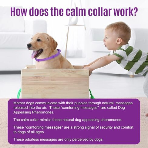 Calming Collar for Dogs, Dog Anxiety Relief, Adjustable Dog Calming Collar, Sustained Release Pheromone, Suitable for All Dogs with Separation Anxiety&Stress&Fear, Easily Fit in New Environment, 4Pcs in Kuwait