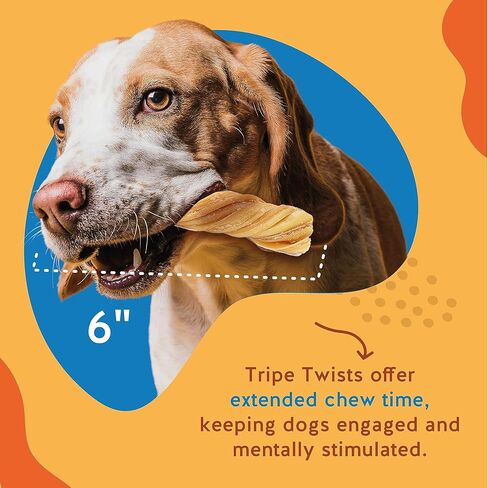 Jack & Pup 12 "Tripe Twist للكلاب | مضغ الكلب الخالي من الجلود الخام يدوم طويلاً | مكون واحد منخفض السعرات الحرارية للكلاب | لا يخفي مضغ الكلب أمعاء كبيرة للكلاب (لحم البقر - 15 عددًا) in Kuwait